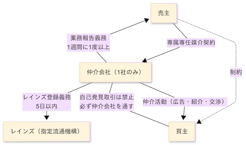 専属専任媒介契約の責任関係と仕組み