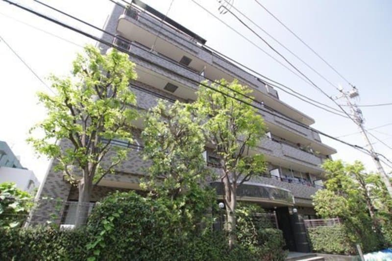 パルミナード尾山台壱番館 1枚目