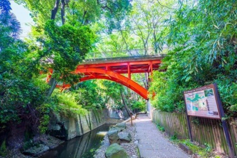 パルミナード尾山台壱番館6枚目