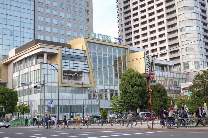 ライオンズガーデン錦糸町5枚目