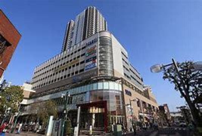 ヴィナシス金町タワーレジデンス5枚目