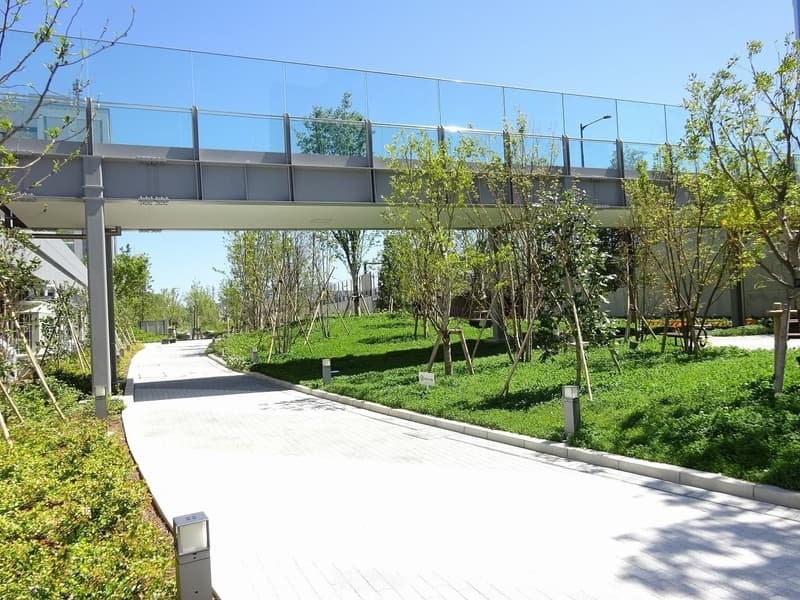 ドゥトゥール6枚目