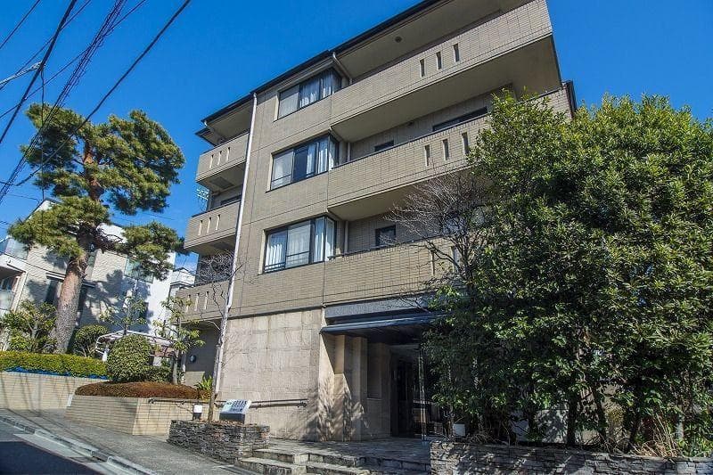 ナイスアーバン石神井公園 1枚目