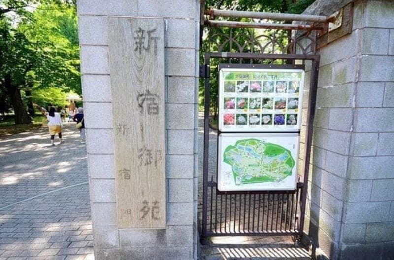 ローレルコート新宿タワー11枚目