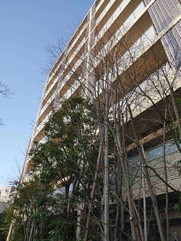 ザパークハウス四谷若葉レジデンス9枚目