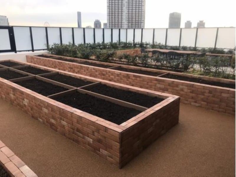 プレミスト有明ガーデンズ9枚目