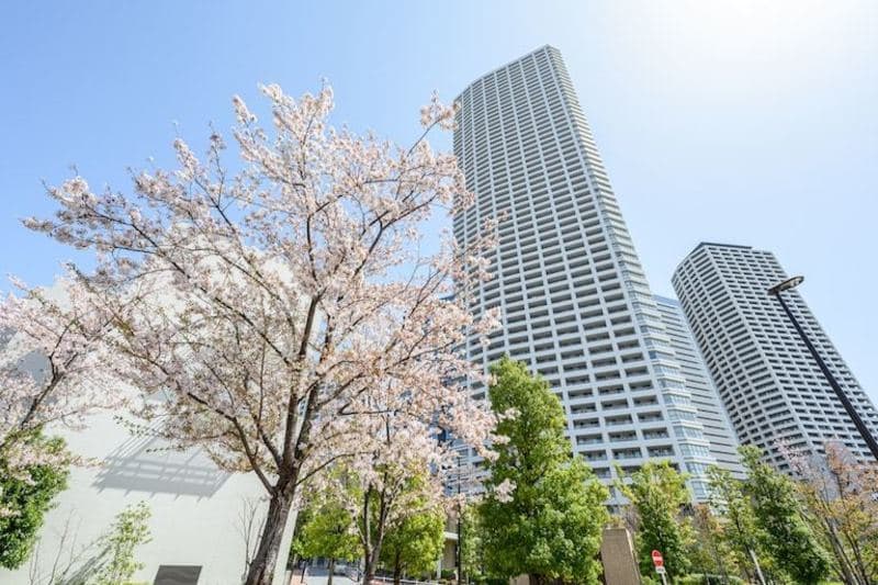 ザパークハウス西新宿タワー601枚目