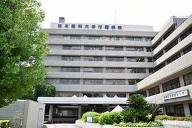 ナイスアーバン千駄木7枚目