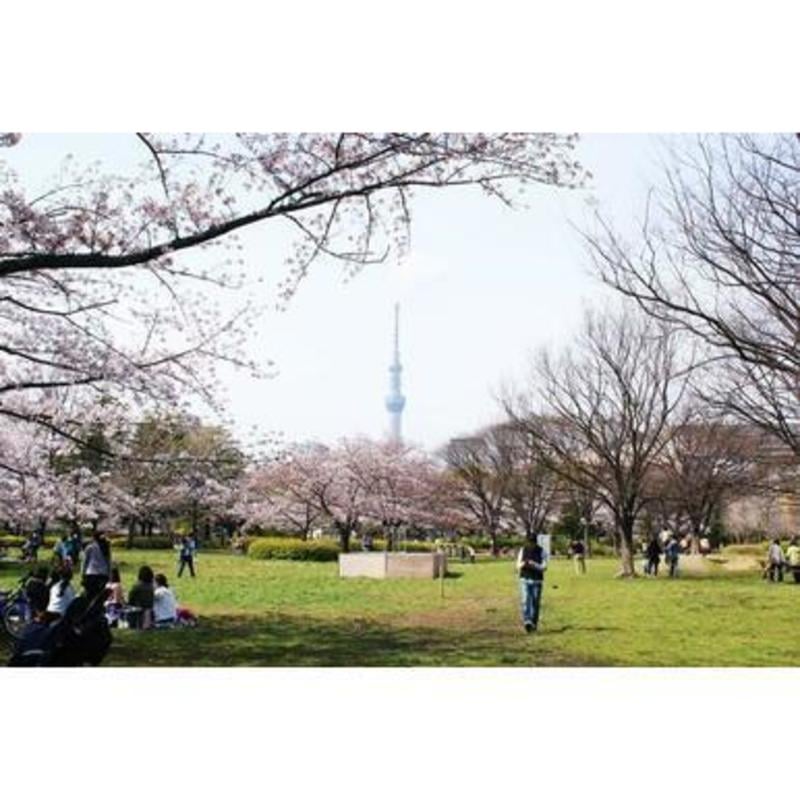 ライオンズプラザ西大島 1枚目