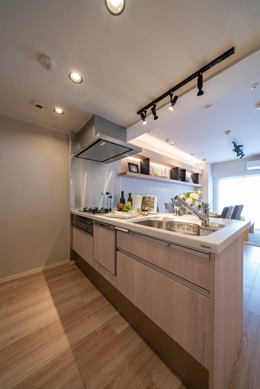 プラチナコート上野3枚目