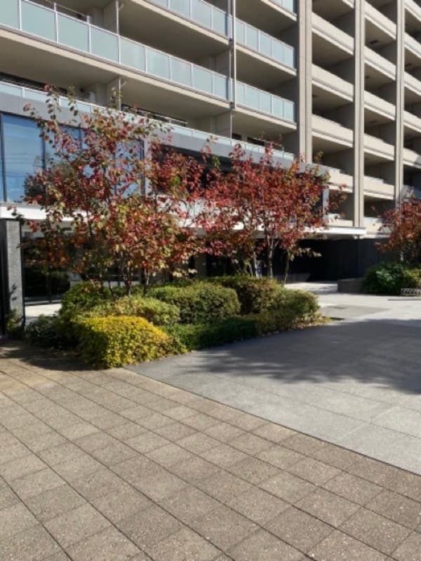 ブリリアときわ台ソライエレジデンス2枚目