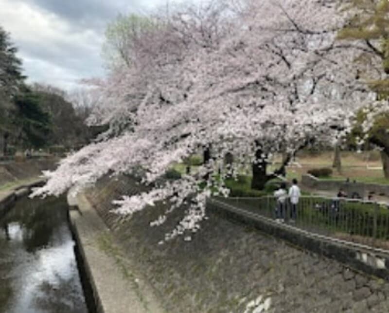 パレス永福10枚目