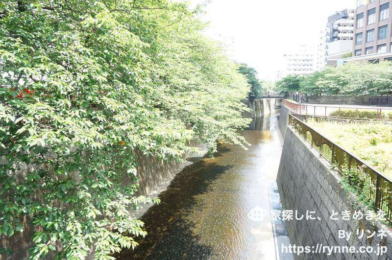 藤和中目黒コープ2枚目