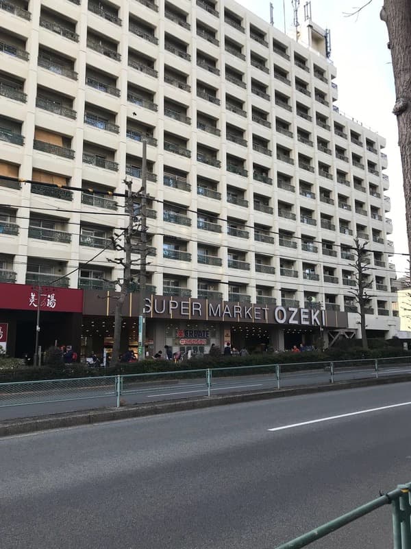 ファミールグラン高井戸デュープレックス11枚目