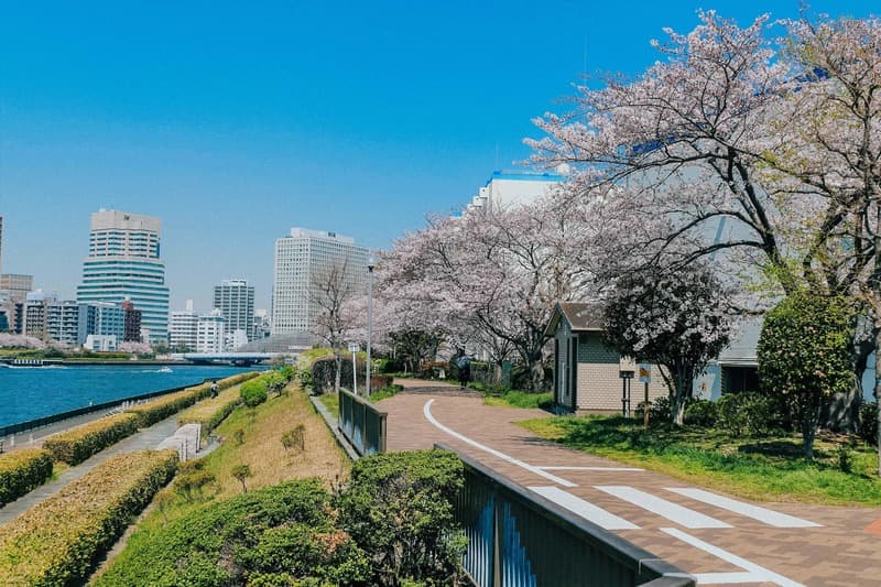ルネ門前仲町4枚目