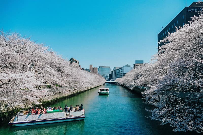 ルネ門前仲町10枚目