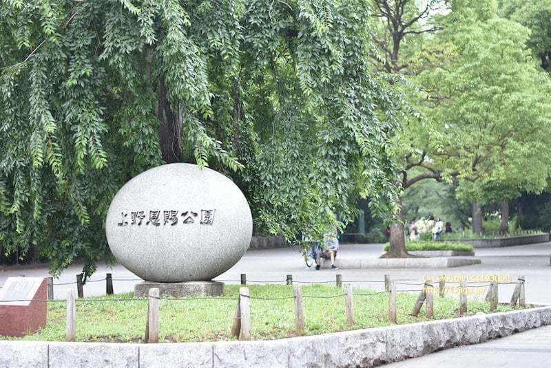 ニューイーストコート上野6枚目