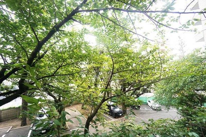 代官山マンション 1枚目