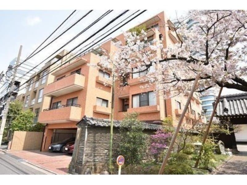 南青山パークハイツ 1枚目