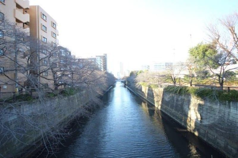 クレッセント目黒23枚目