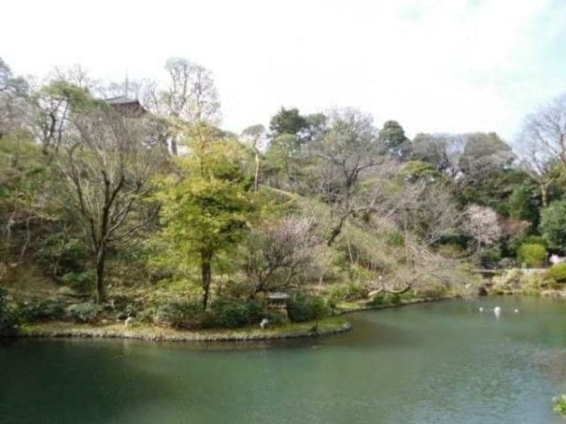 インプレスト早稲田1番館10枚目