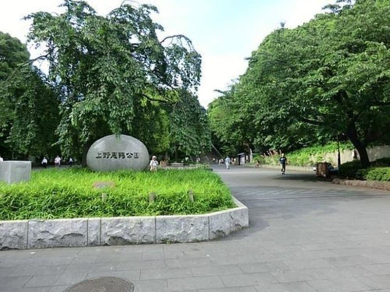 コスモ上野パークサイドシティ1枚目