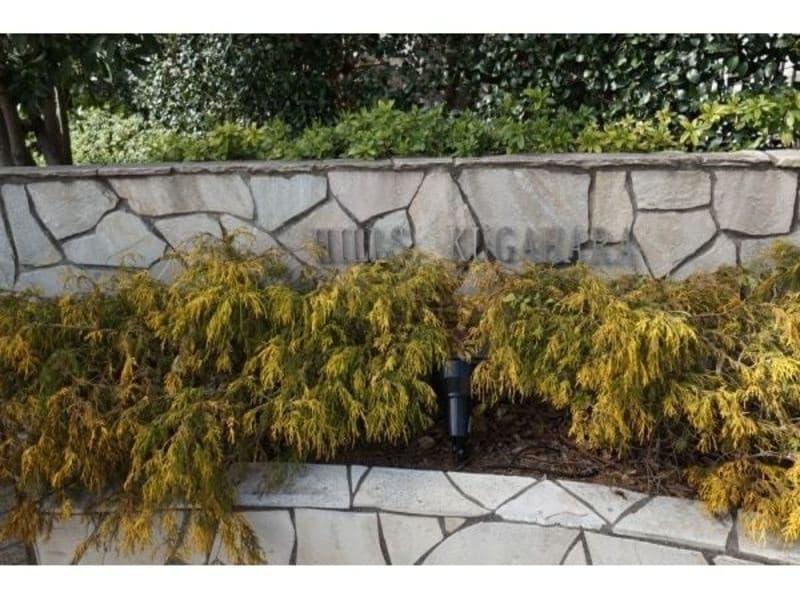 ヒルズ久が原弐番館6枚目