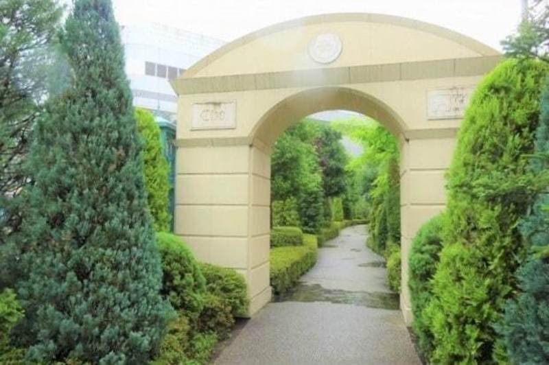 クリオレジダンス東京7枚目