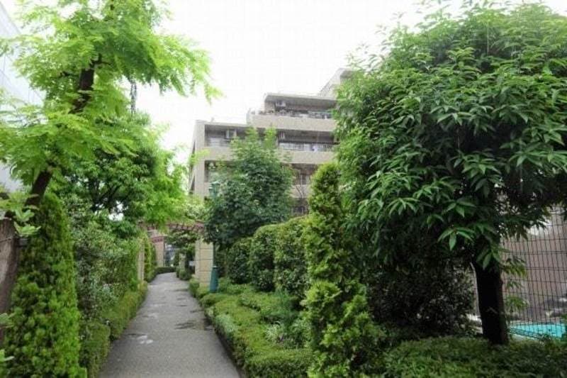 クリオレジダンス東京4枚目