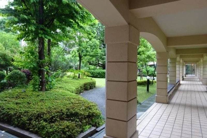 クリオレジダンス東京12枚目