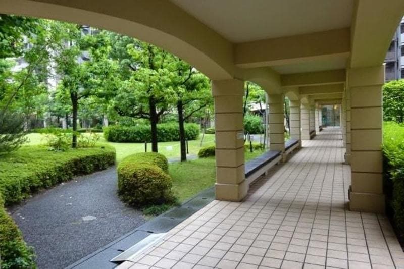 クリオレジダンス東京1枚目