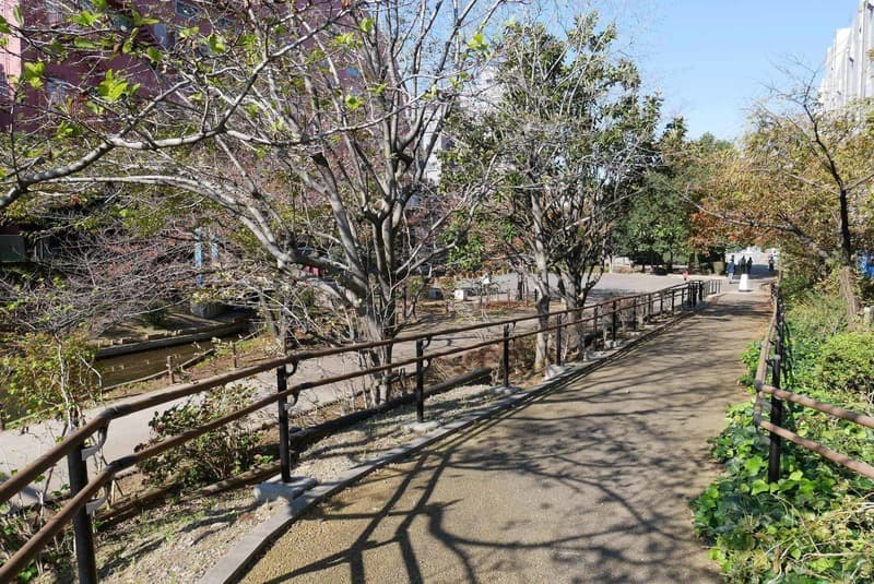 レクセル錦糸町シティ3枚目